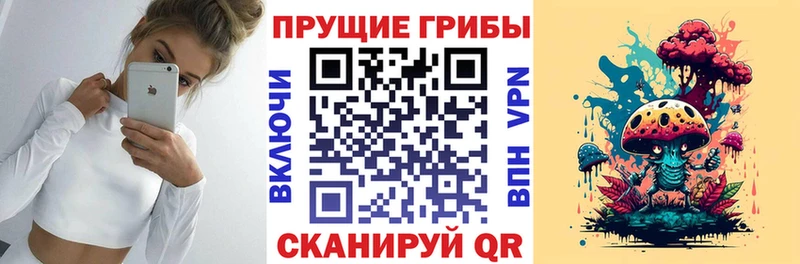 купить наркоту  Ковров  Галлюциногенные грибы Cubensis 
