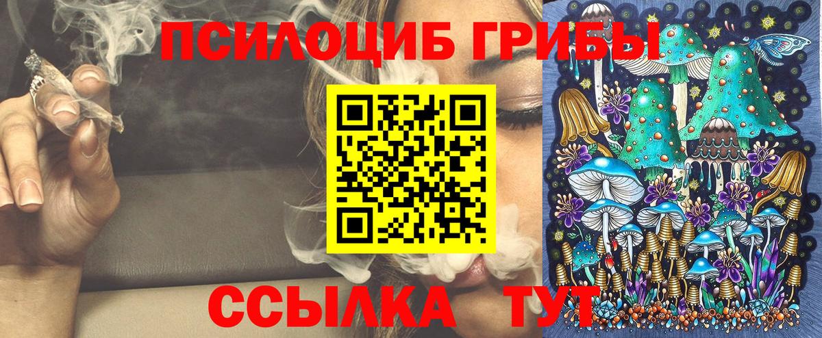 Галлюциногенные грибы мицелий  Галлюциногенные грибы мицелий  Вход с VPN  Ковров 