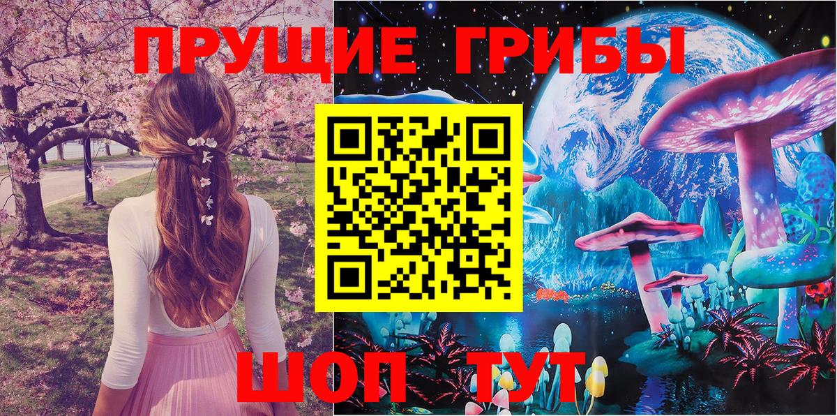 Галлюциногенные грибы прущие грибы Ковров